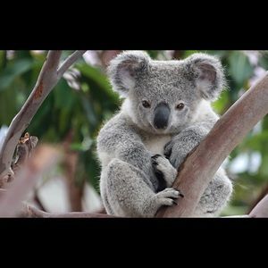 Meet your Posher, Armando